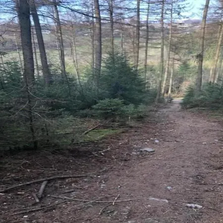 Holiday home In Thirimont Near Forest, Cleaning Included